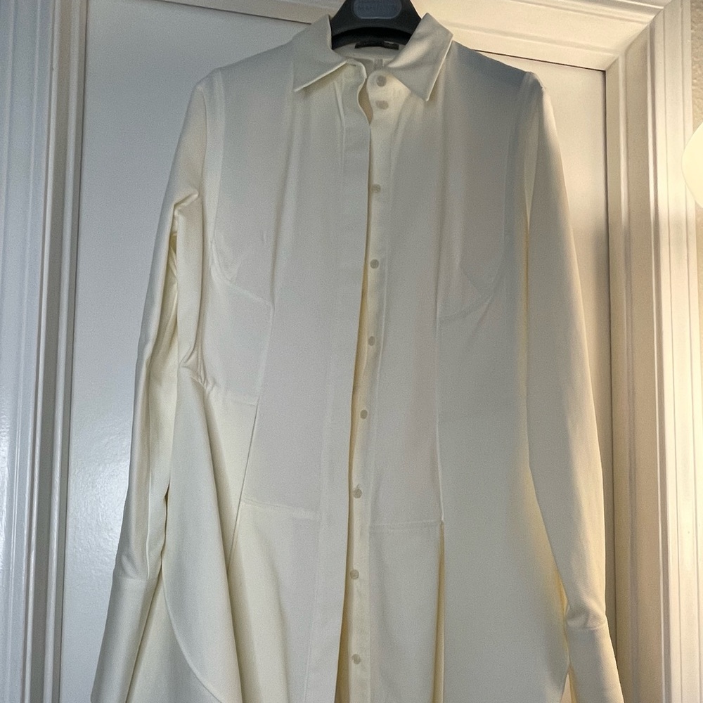 ALEXANDER MCQUEEN
Poplin Waisted Button-Front Mini Shirtdres